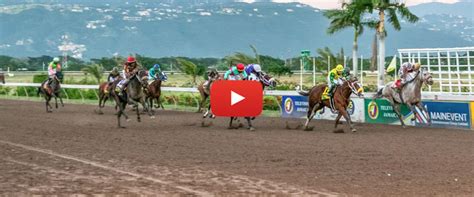 Fast enrollment system gets you wagering in no time. . Caymanas park live racing